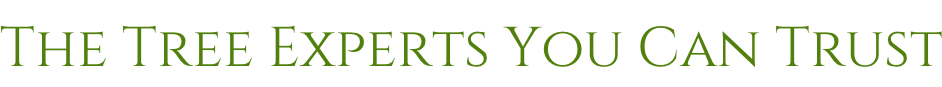 The Tree Experts You Can Trust