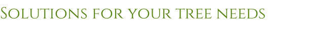 Solutions for your tree needs